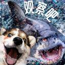 观察吧 Observe Bar